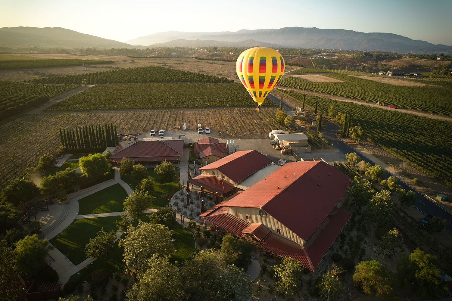 Wiens Cellars winery balloon view