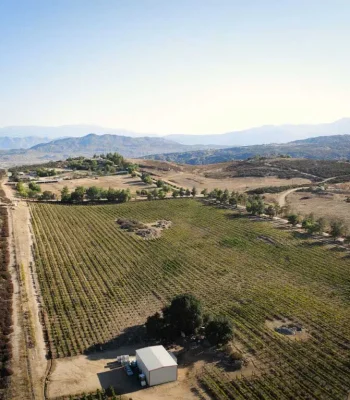 SAGE VINEYARDS