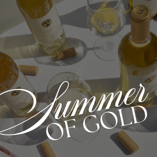 WD TASTING GRAPHIC (18)