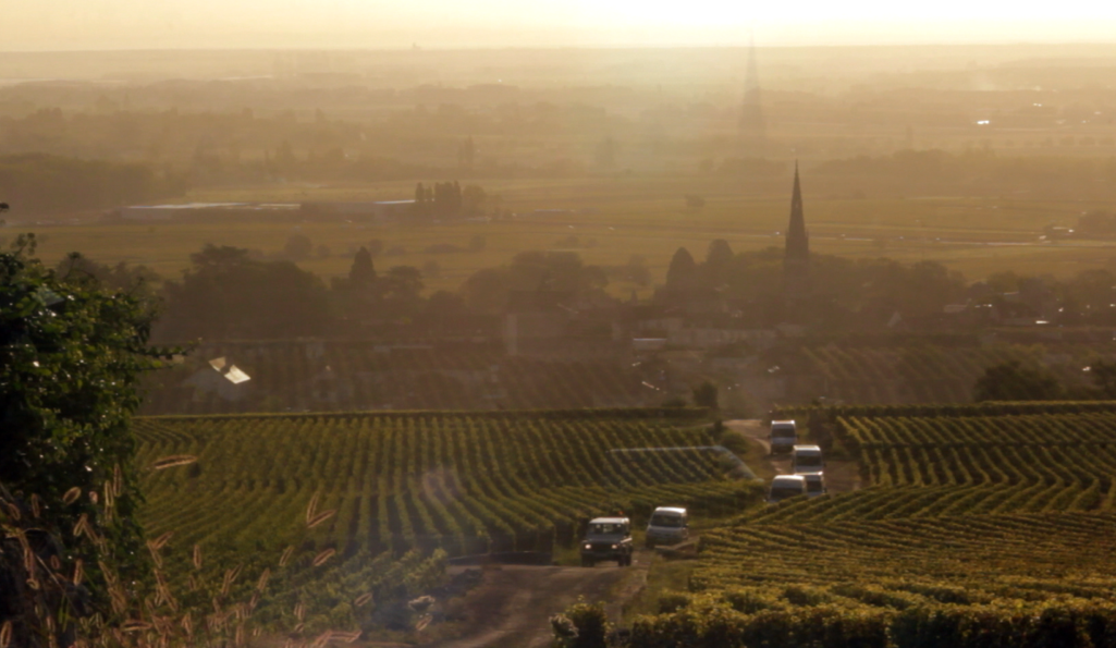 A Year in Burgundy